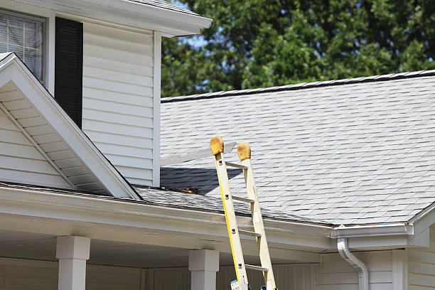 Best Custom Trim and Detailing for Siding  in Middle River, MD